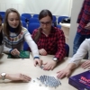 Klub gier planszowych